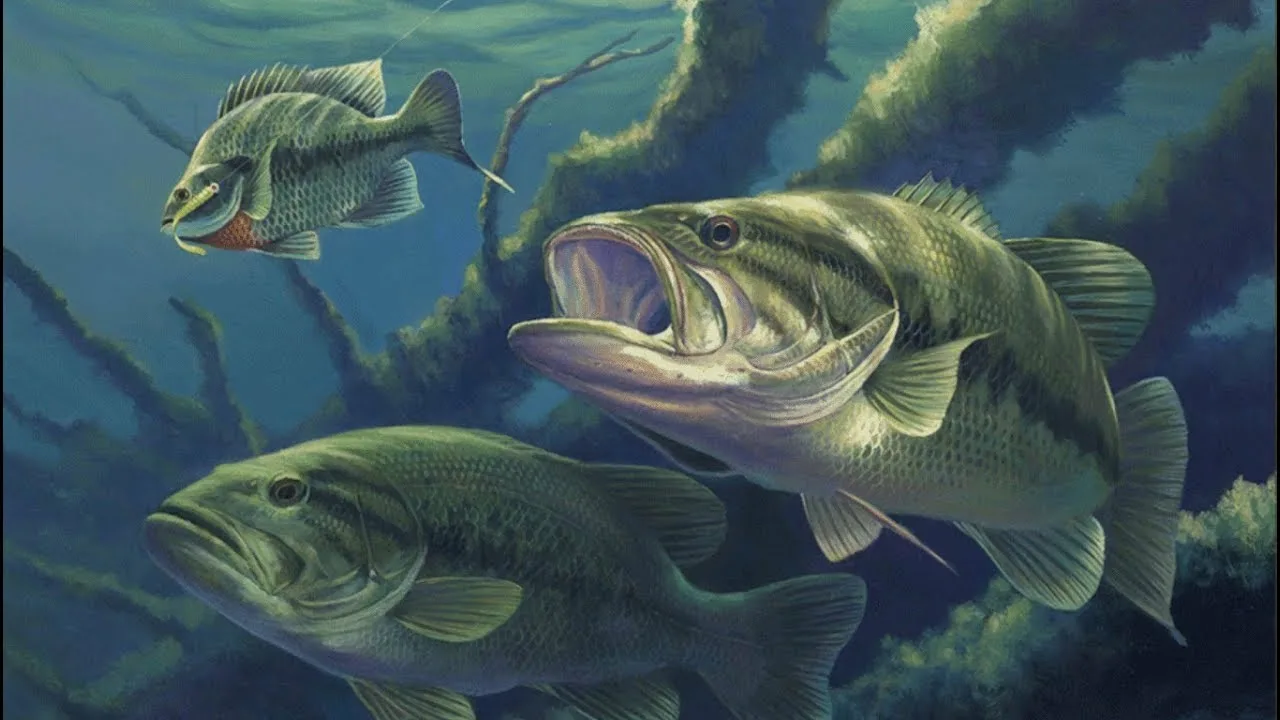 Virtual fishing games